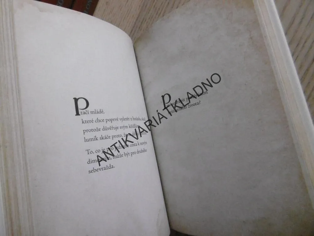 PŘÍRUČKA MESIÁŠE, RADY PRO VYSPĚLOU DUŠI, RICHARD BACH