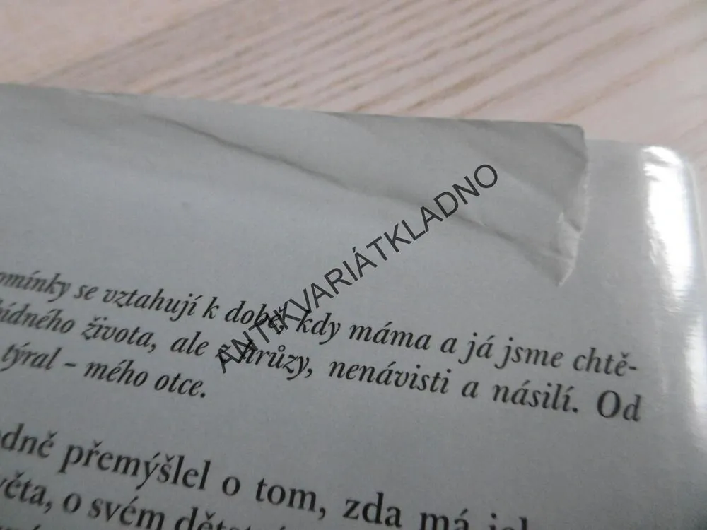 BEZ LÁSKY A NADĚJE, MICHAEL SEED, **an