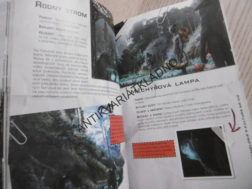 AVATAR JAMESE CAMERONA, MARIA WILHELM, DIRK MATHISON, **an