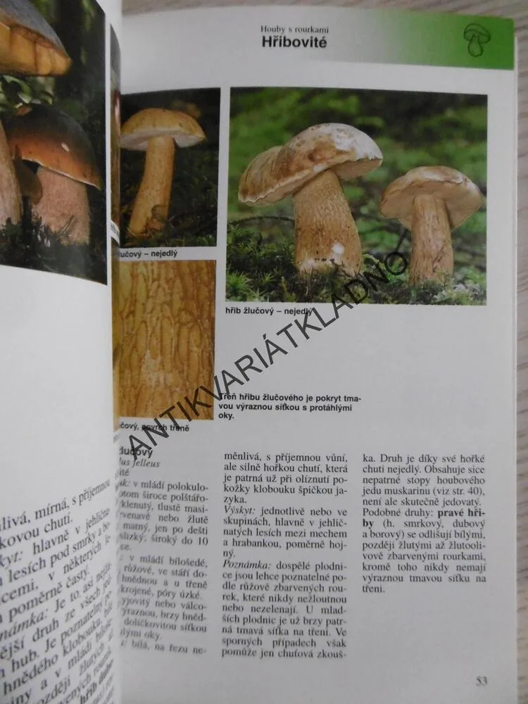 HOUBY, URČOVÁNÍ, POZNÁVÁNÍ, SBÍRÁNÍ, EDMUND GARNWEIDNER,**an