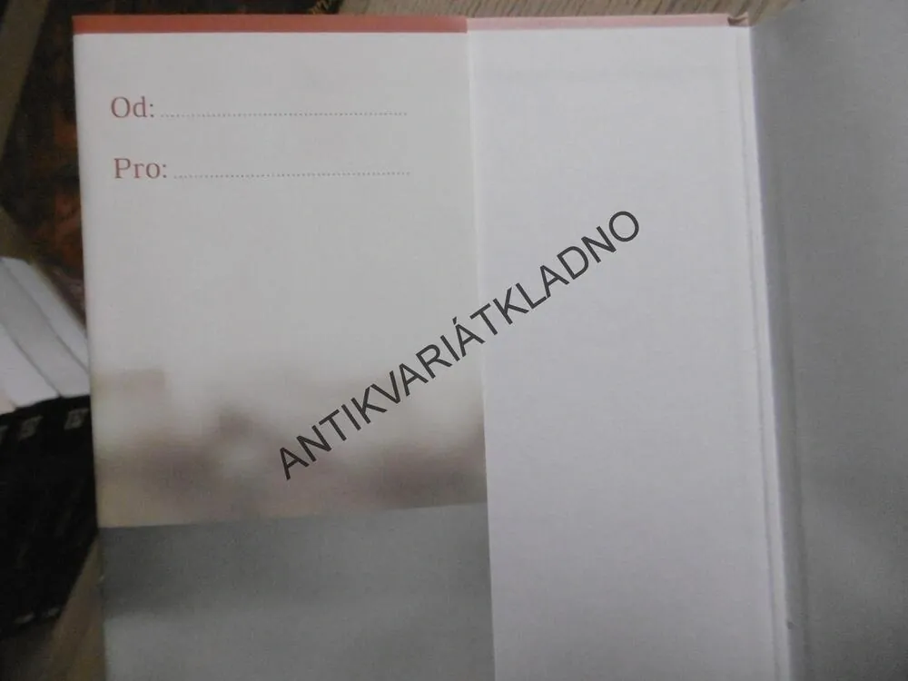 SESTRY, CURTIS SITTENFEDOVÁ, **an