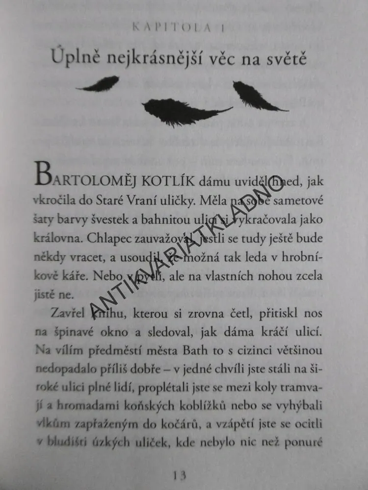 DĚTI VÍL, STEFAN BACHMANN, **an