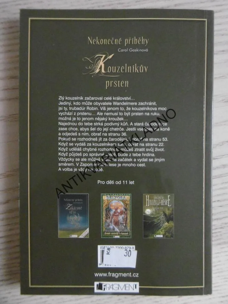 KOUZELNÍKŮV PRSTEN, NEKONEČNÉ PŘÍBĚHY, CAROL GASKINOVÁ, **an