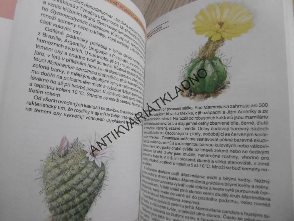 ZELEŇ V NAŠICH DOMOVECH, NOVOTNÁ, FIŠEROVÁ, **an