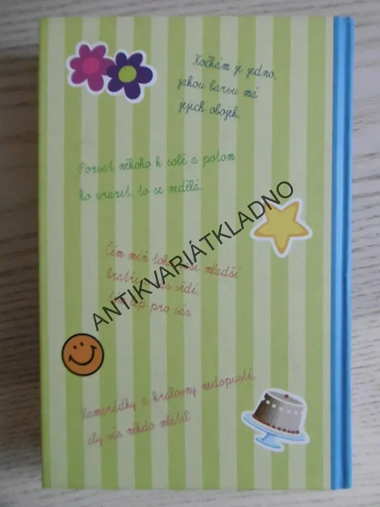 ALLIE FINKLOVÁ, HOLČIČÍ PRAVIDLA, DRUHÁ KNIHA: NOVÁ HOLKA, MEG CABOTOVÁ, **an