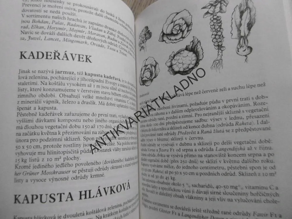 PĚSTUJEME ZELENINU, STANISLAV PELEŠKA, **an