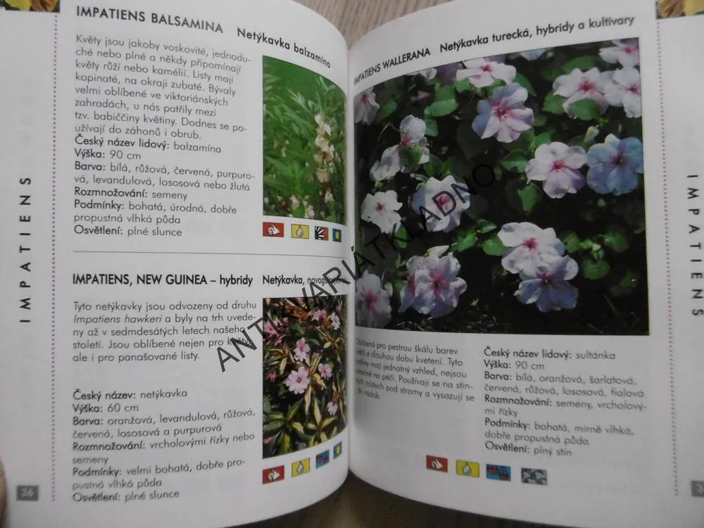 LETNIČKY, **an