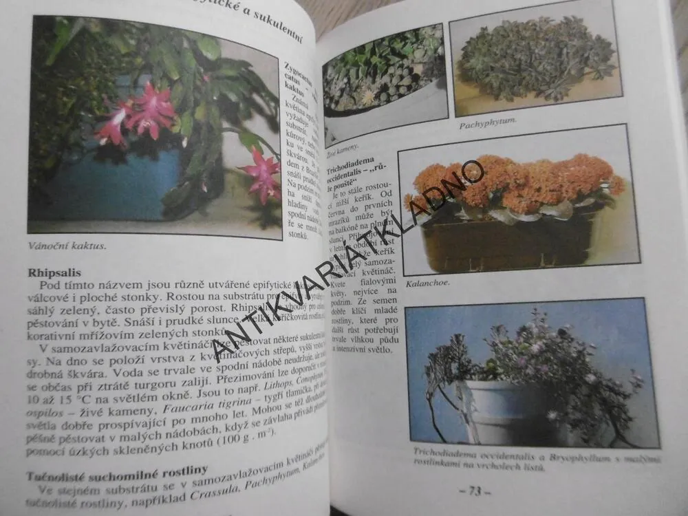 PĚSTUJEME DOMA KVĚTINY, ORCHIDEJE, ZELENINU, HOUBZ, TOMÁŠ SYROVÁTKA, **an