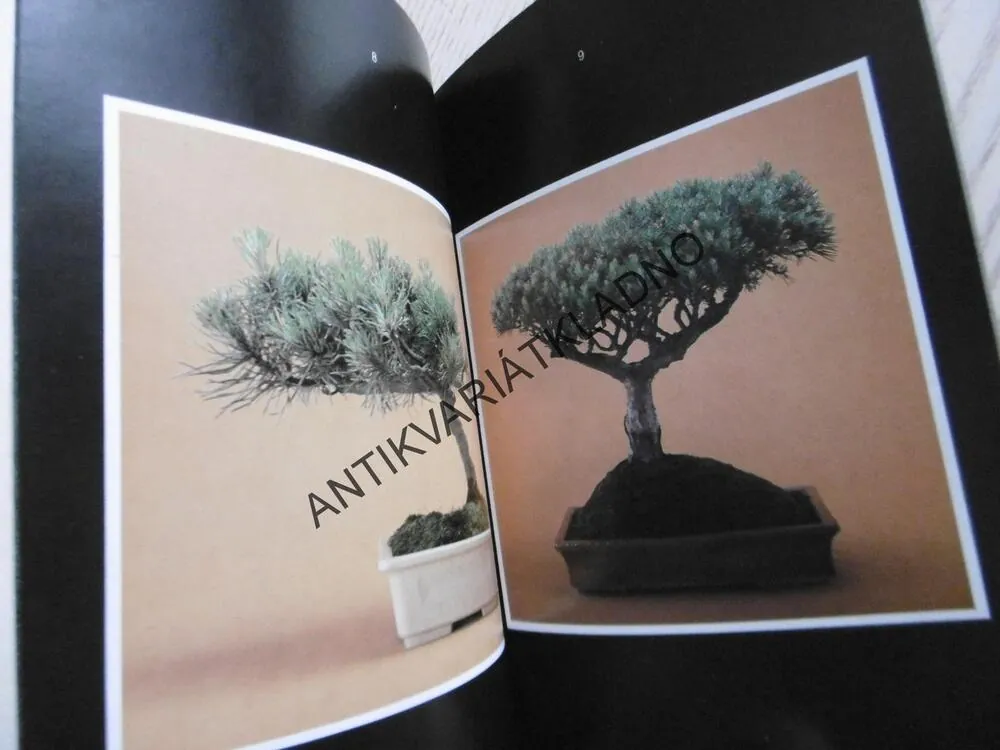 BONSAI, K. J. ŠTOLC, **an