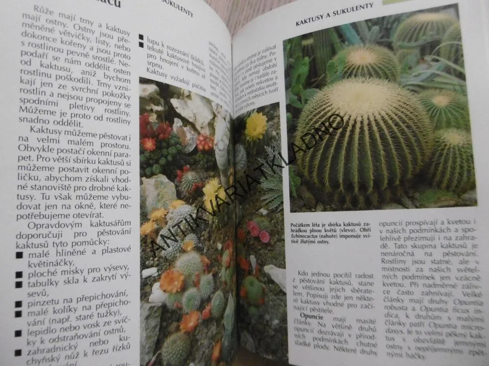 ROK S POKOJOVÝMI ROSTLINAMI, ELISABETH MANKE, **an