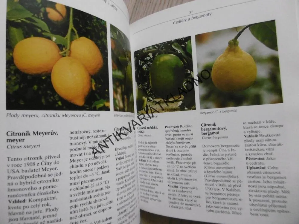 CITRUSY... JAK SI JE VYBRAT A PĚSTOVAT, SIGRID HANSEN-CATANIOVÁ, **an