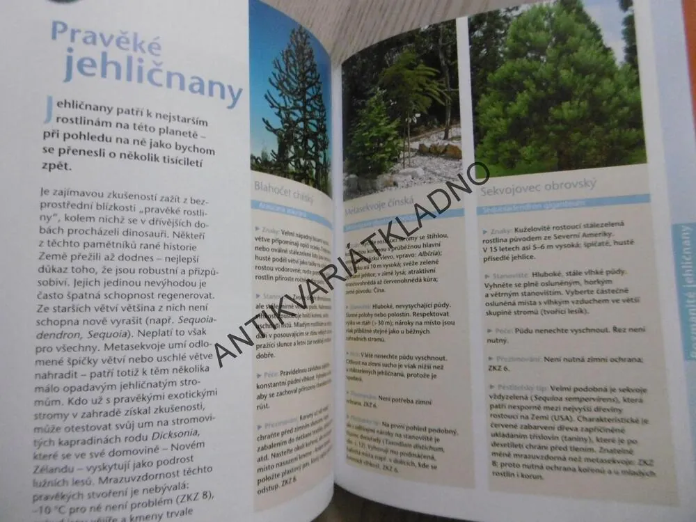 EXOTICKÉ ROSTLINY V ZAHRADĚ, TANJA RATSCH, **an
