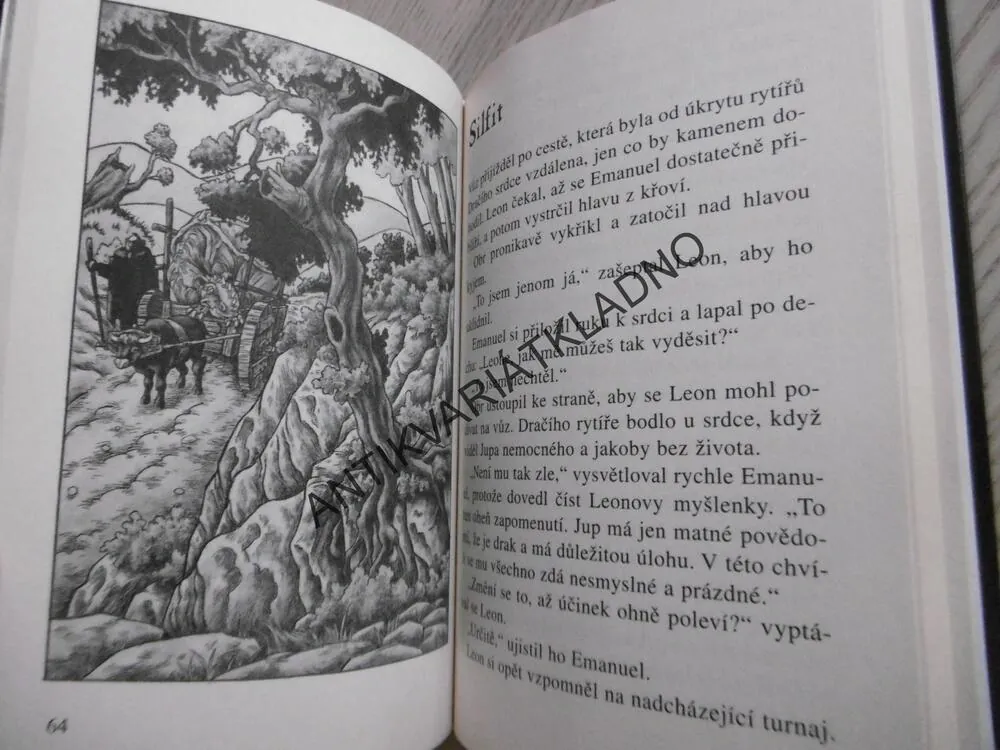 DRAČÍ MEČ, ROZHODUJÍCÍ BITVA, THOMAS C. BREZINA, **an