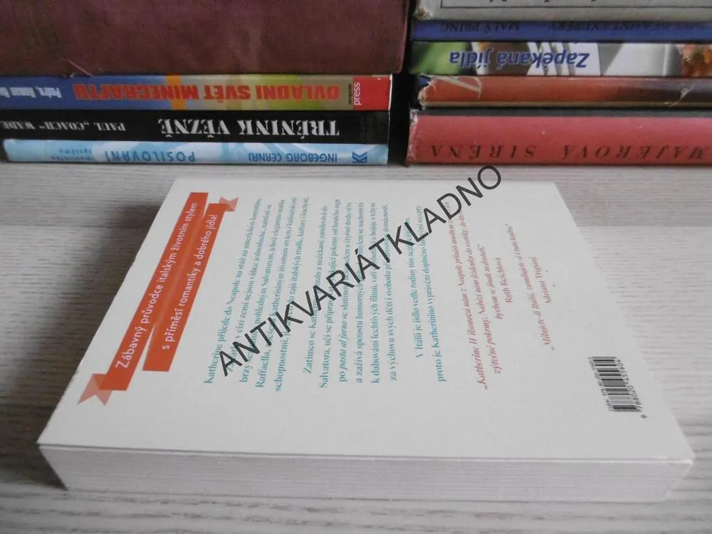 JEDINĚ NEAPOL, KATHERINE WILSONOVÁ, **an