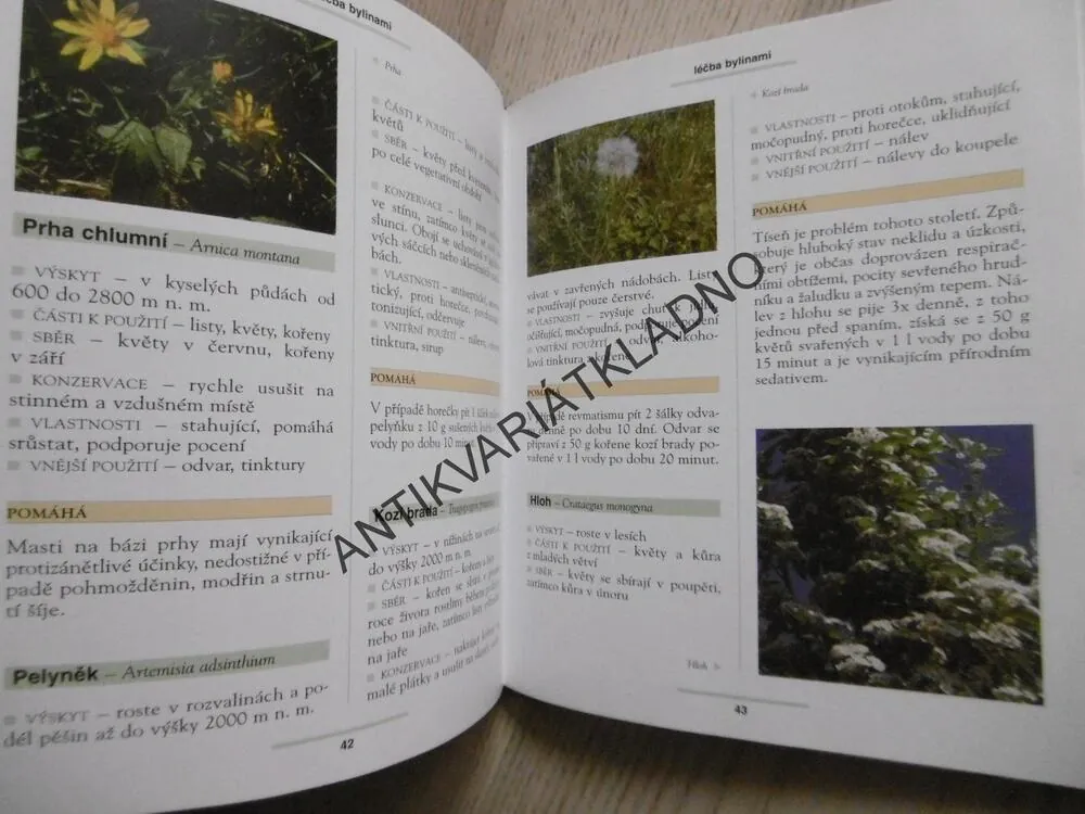 LÉČBA BYLINAMI, LAURA MANTOVANI, **an
