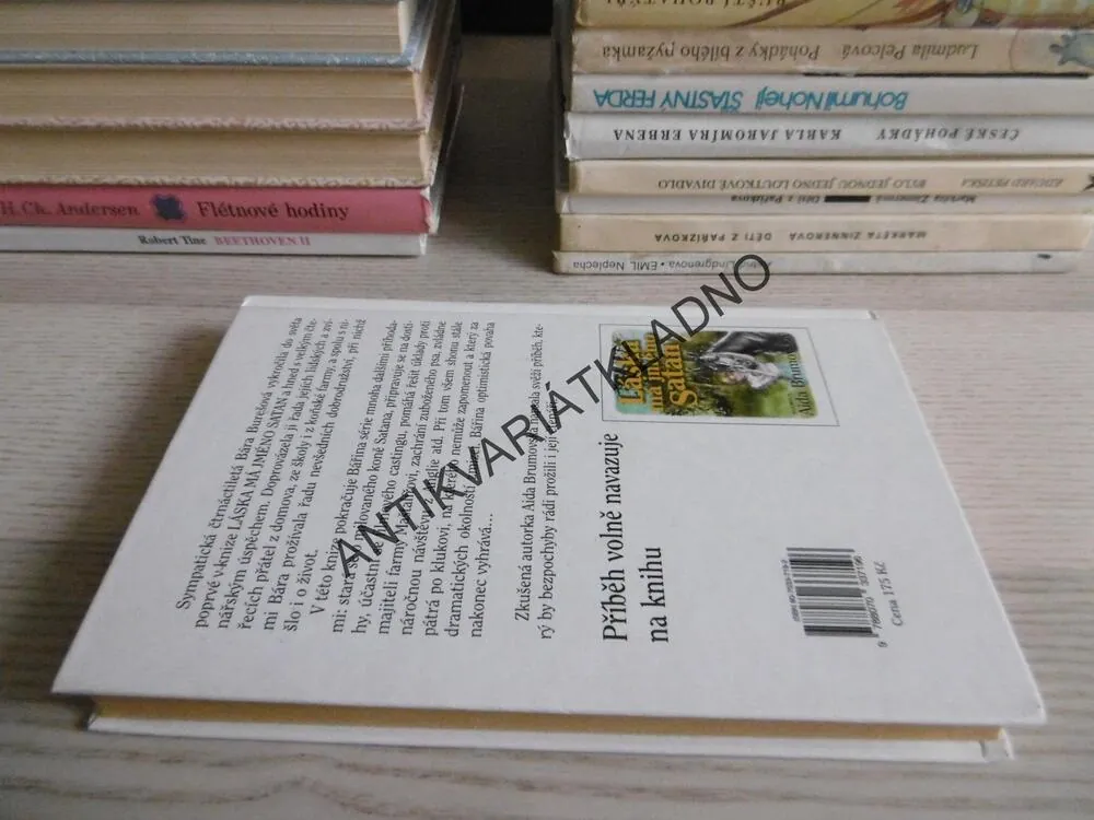 SATAN JE MŮJ, AIDA BRUMOVSKÁ, **an