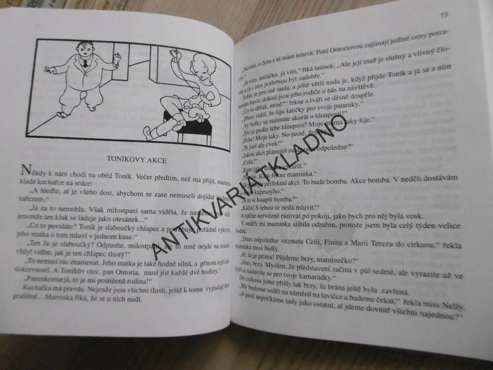 CELIE SI VYMÝŠLÍ, ELENA FORTÚNOVÁ, **an