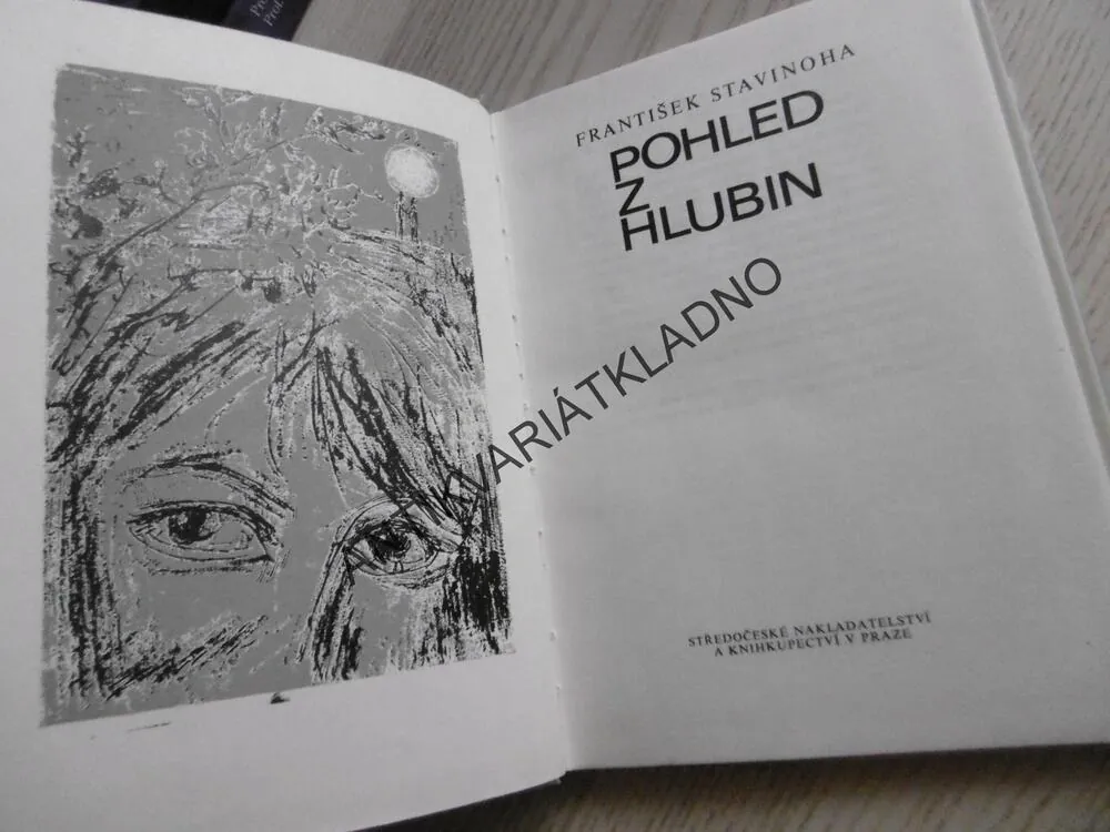 POHLED Z HLUBIN, FRANTIŠEK STAVINOHA, **an