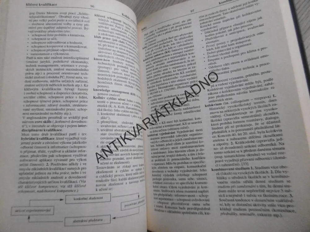 VÝKLADOVÝ SLOVNÍK - LIDSKÉ ZDROJE, ZDENĚK PALÁN, **an