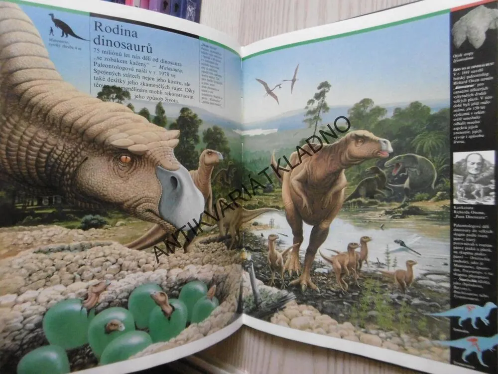 OD VELKÉHO TŘESKU K ČLOVĚKU, ILUSTROVANÉ DĚJINY SVĚTA, KOLEKTIV AUTORŮ, **an