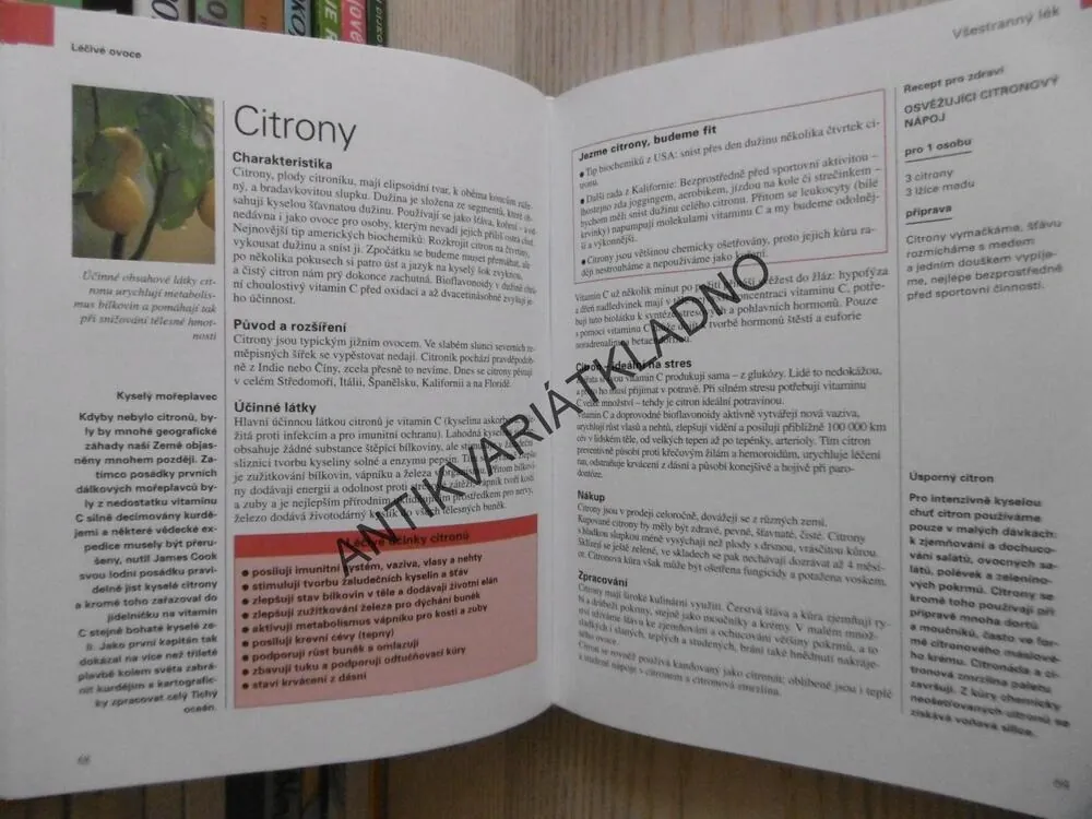 LÉČBA OVOCEM A ZELENINOU, KLAUS OBERBEIL, CHRISTIANE LENTZOVÁ, **an