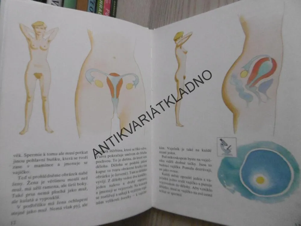 ENCYKLOPEDIE POHLAVNÍHO ŽIVOTA, 7 - 9 LET, KOLEKTIV LÉKAŘŮ, **an