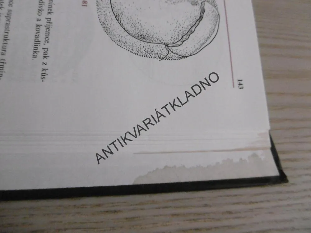 ATLAS CHIRURGIE UCHA, ERVÍN ČERNÝ, JAN BETKA