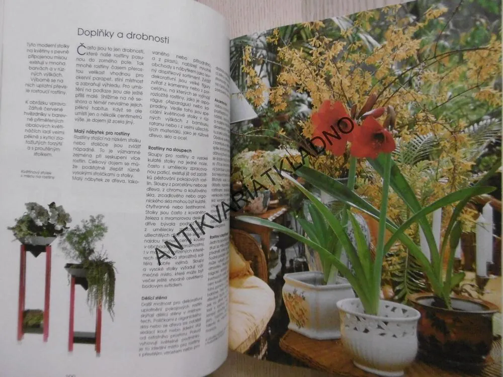 1000 NEJKRÁSNĚJŠÍCH ROSTLIN PRO ZELENÝ DOMOV, HALINA HEITZOVÁ, **an