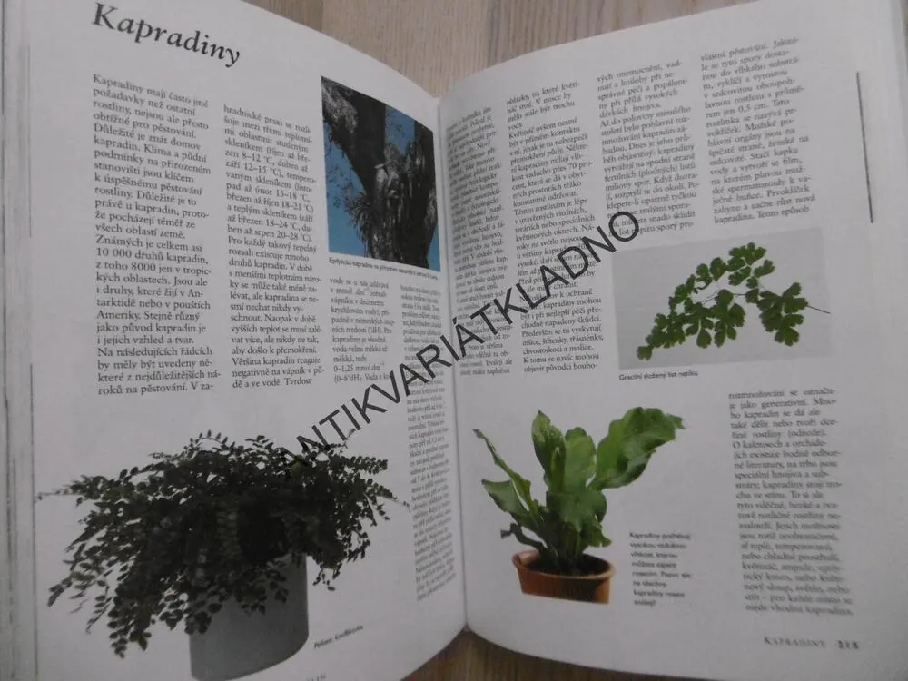 JAK PĚSTOVAT POKOJOVÉ ROSTLINY, JÜRGEN WOLF, **an