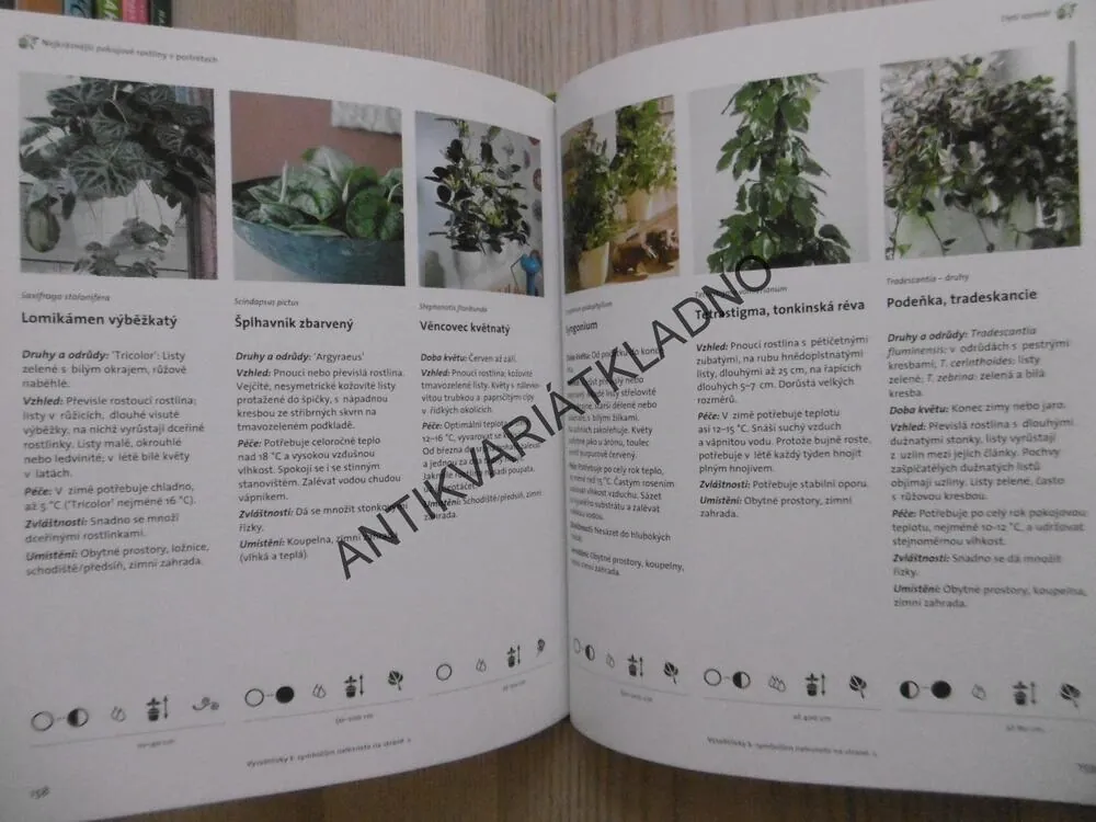 POKOJOVÉ ROSTLINY, BRUNHILDE BROSS-BURKHARDTOVÁ, CHRISTINE WEIDENWEBEROVÁ, **an