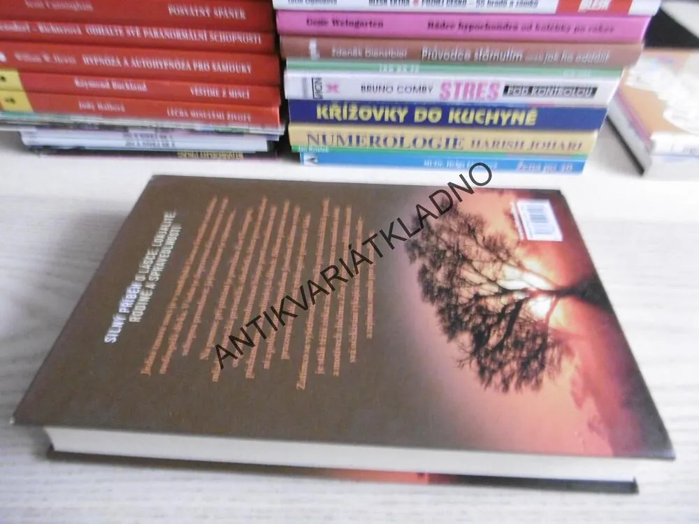 BEZNADĚJNÝ PŘÍPAD?, CORBAN ADDISON, **an