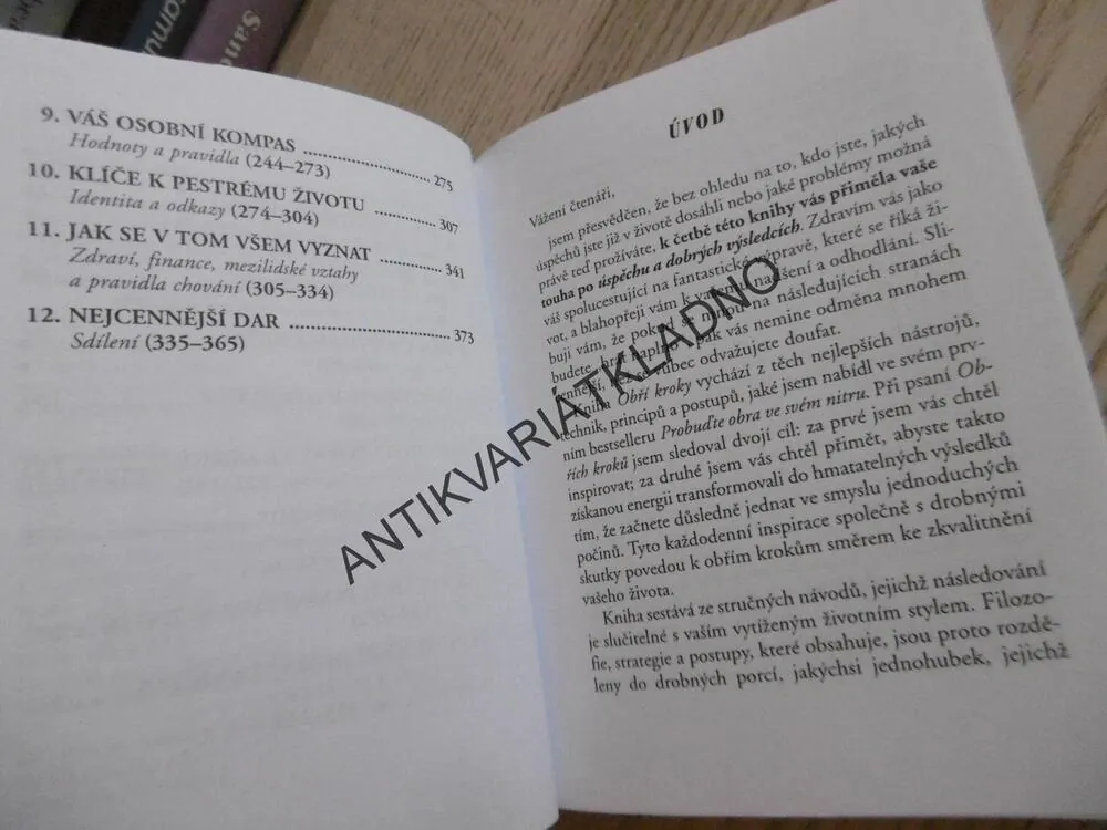 OBŘÍ KROKY, ANTHONY ROBBINS, **an