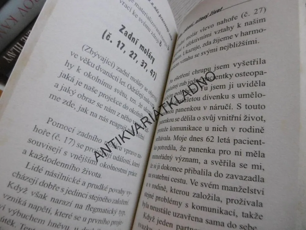 CO O NÁS PROKAZUJÍ ZUBY, MICHÉLE CAFFIN, **an