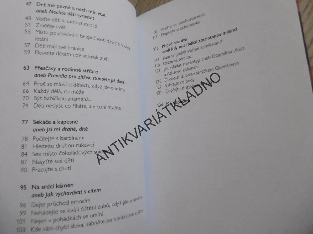 VZHŮRU NA KAPUČÍNO, STEPHANIE SCHNEIDEROVÁ, **an