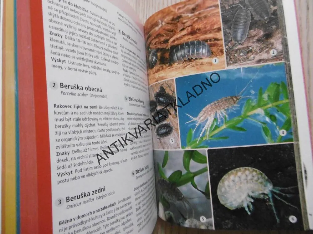 ATLAS ŽIVOČICHŮ, 1000 ŽIVOČICHŮ STŘEDNÍ EVROPY, HEIKO BELLMANN A KOLEKTIV, **an