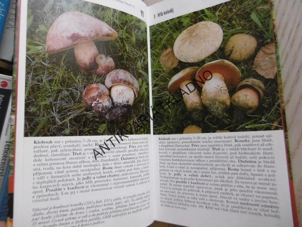 HOUBAŘSKÝ ATLAS, MIROSLAV SMOTLACHA, MAARIE A JOSEF ERHARTOVI, **an