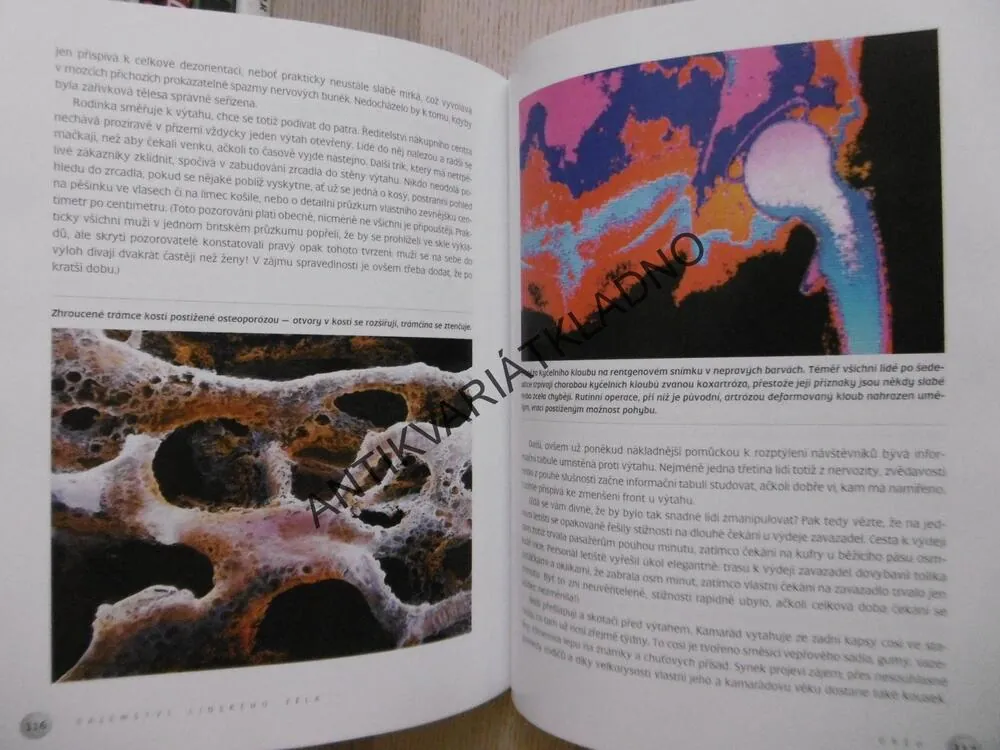 TAJEMSTVÍ LIDSKÉHO TĚLA, DAVID BODANIS, **an