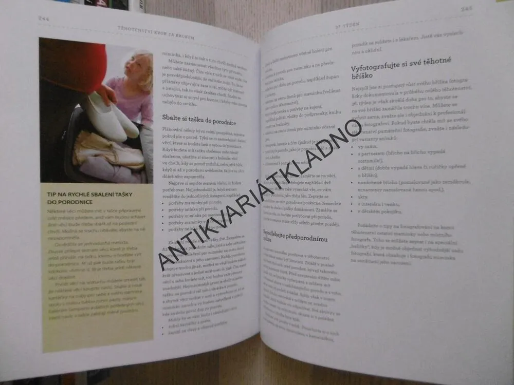 TĚHOTENSTVÍ KROK ZA KROKEM, ROBIN ELISE WEISSOVÁ, **an