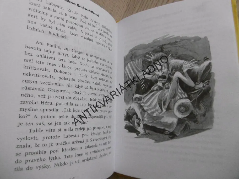 JE NÁS PĚT, FRIEDERUN REICHENSTETTEROVÁ, **an