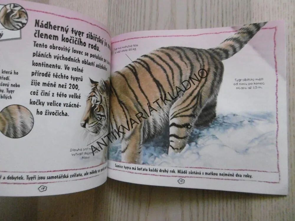 SAVCI, ZÁBAVNÁ FAKTA, **an