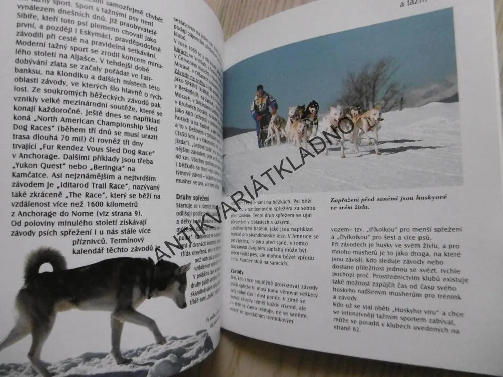 HUSKY, KATHARINA SCHLEGOVÁ-KOFLEROVÁ