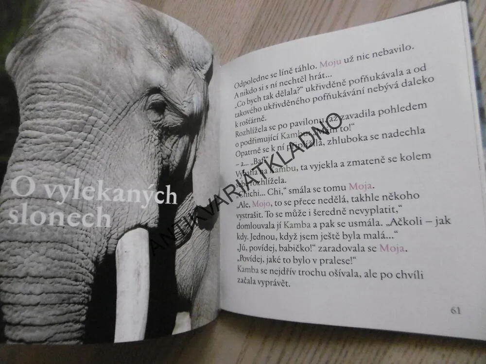 MOJA A PÁV, TEREZA ŠEFRNOVÁ, MIROSLAV BOBEK, **an