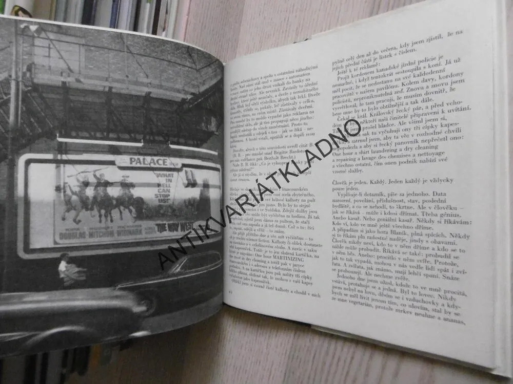 JAVOROVÉ LISTY, MIROSLAV HORNÍČEK, **an