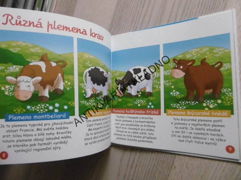 PRÁZDNINY NA VENKOVĚ, V HOSPODÁŘSTVÍ