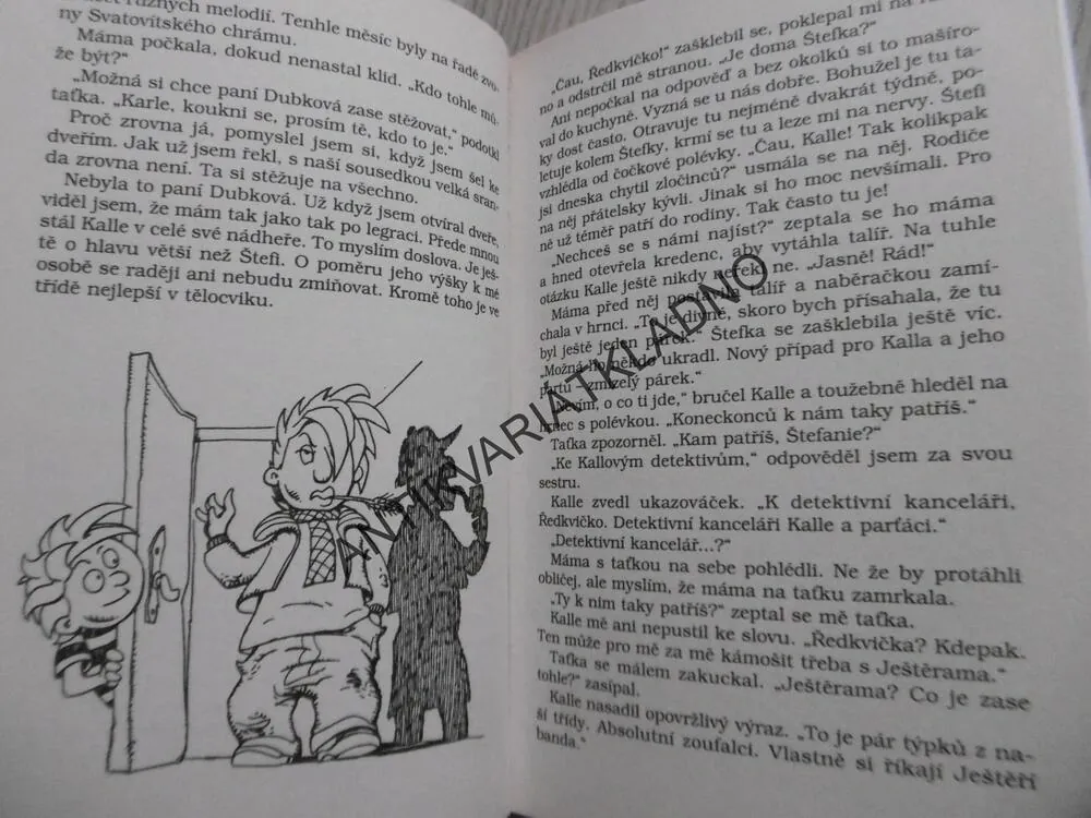 ČTYŘI A PŮL KAMARÁDA, JOACHIM FRIEDRICH, **an