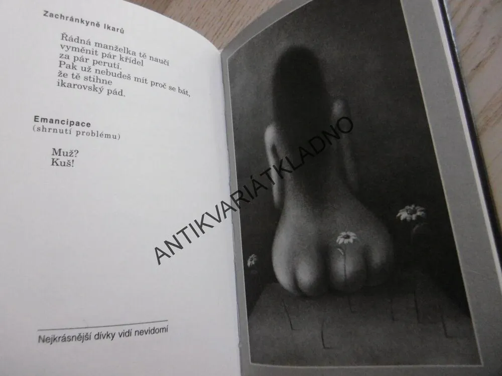 HUMORESKY, JIŘÍ ŽÁČEK, **an