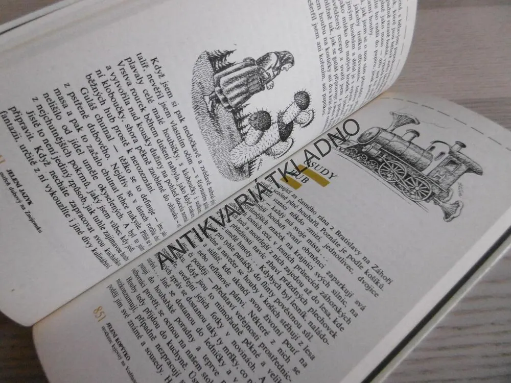 O HOUBÁCH, JÁN MAJERNÍK, JIŘÍ BAIER, **an