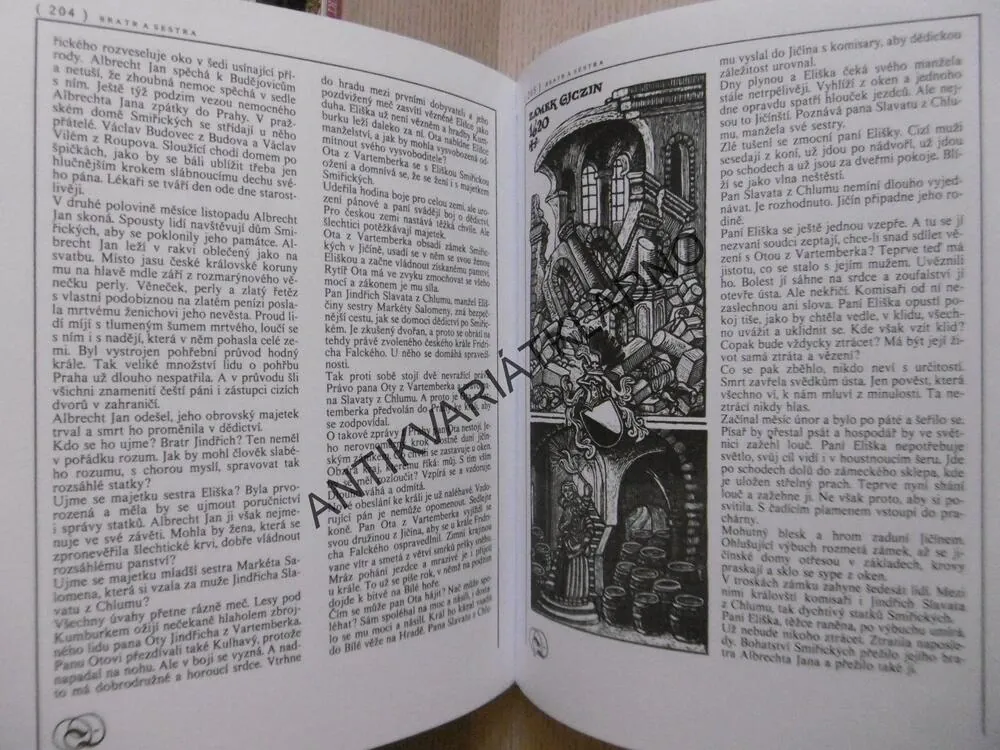 ČTENÍ O HRADECH, ZÁMCÍCH A MĚSTECH, EDUARD PETIŠKA, **an