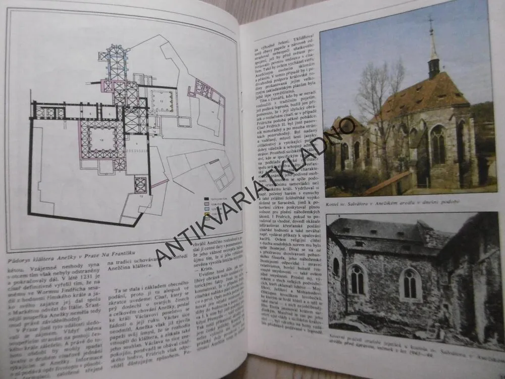 ANEŽKA PŘEMYSLOVNA, JAROMÍR MIKULKA, SLOVO K HISTORII