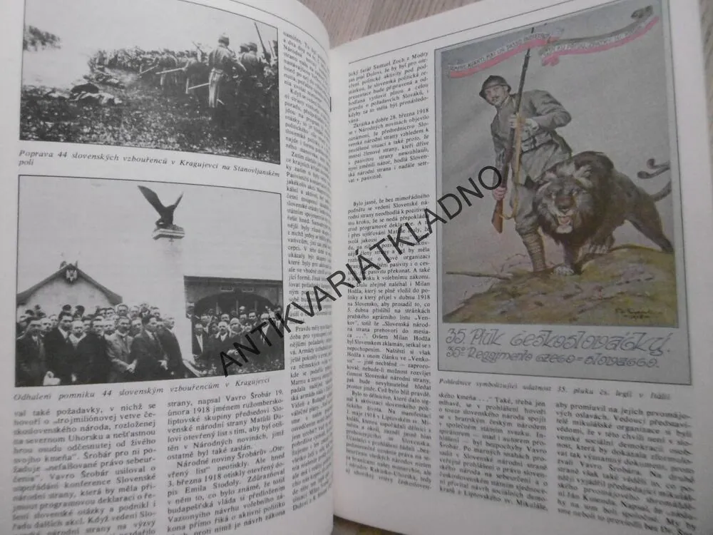 ZA SPOLEČNÝ STÁT, MARTINSKÉ ROZHODNUTÍ Z 30. ŘÍJNA 1918, MARIÁN HRONSKÝ, SLOVO K HISTORII